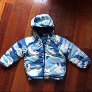 Patagonia Hooded Down Jacket